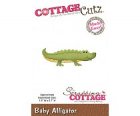 SCC003 Baby Alligator