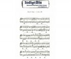 RSINDA6SM Indigoblu music