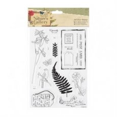 CLSPMA907225 Clearstamp Nature's gallery