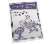 CSCLSTABI10041A5 Clearstamp Claritystamp & mask  Gees & birds