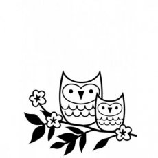 Owls on a twig