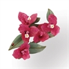 ST658853 Thinlts Flower Bougainvillea