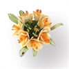 ST658856 Thinlts Flower Clivia