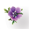 Thinlts Flower Hardy Geranium